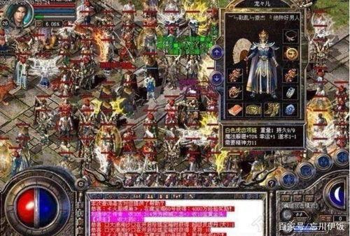 热血传奇宝宝最新爆料,神秘宝宝技能大揭秘！